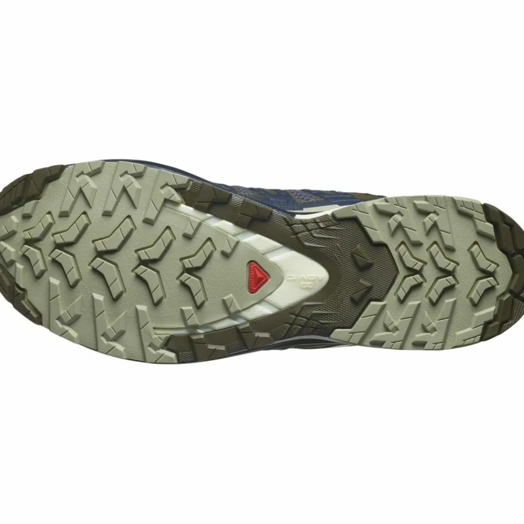 Salomon Wandern|Nordic Walking<· XA PRO 3D V9 india ink-olive night-aloe wash