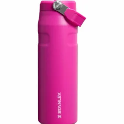 Stanley Trinkzubehör|Trinkzubehör<· The IceFlow Flip Straw 2.0 Bottle violet blossom