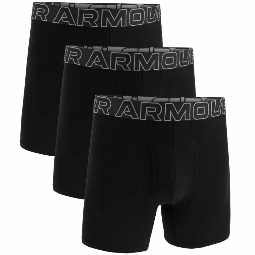 Under Armour Unterwäsche<· Boxershort Schwarz