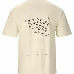 Virtus Tischtennis|Padel-Tennis<· Brody 1115 Egret