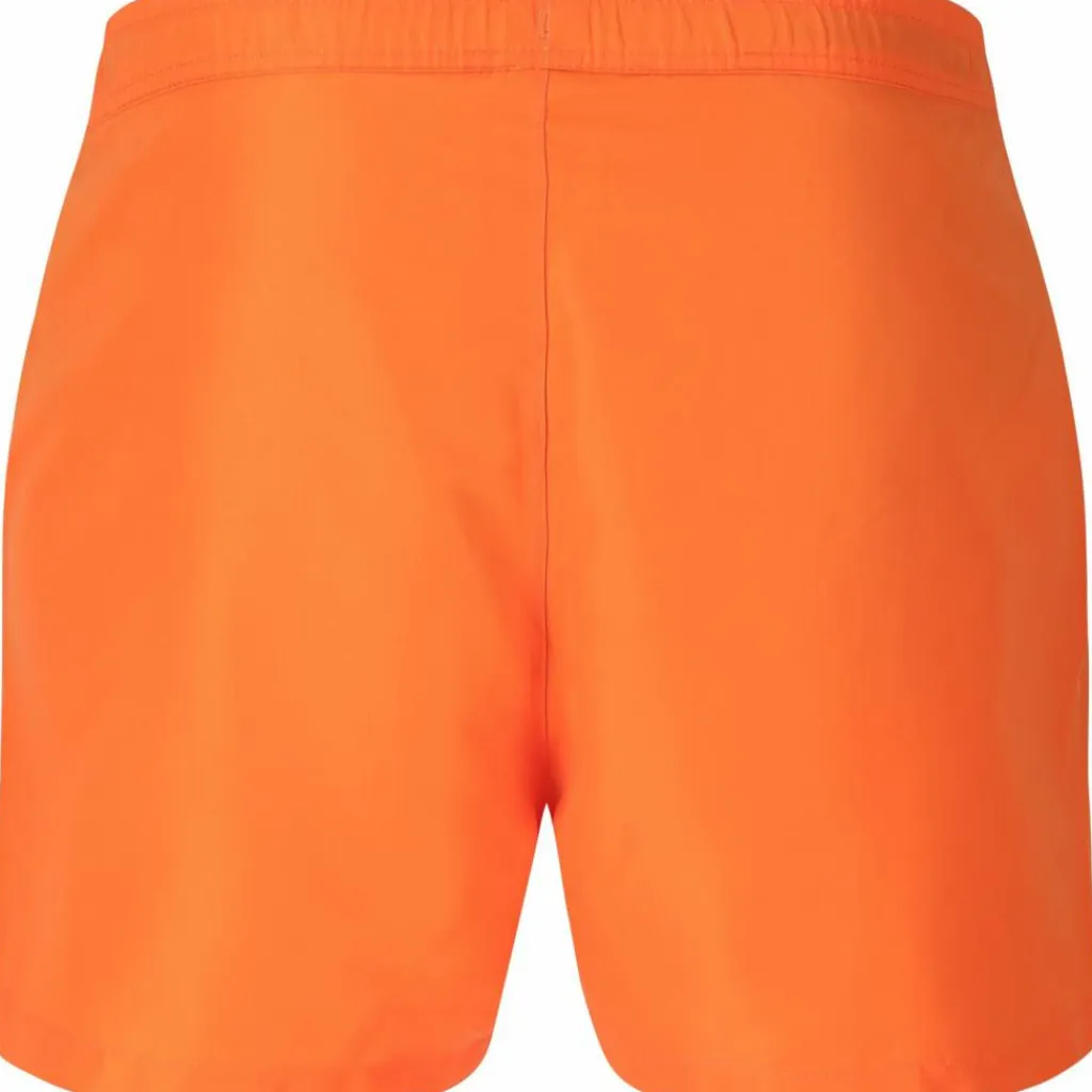 Virtus Schwimmen<· Smither V2 5042 Exuberance