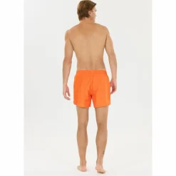 Virtus Schwimmen<· Smither V2 5042 Exuberance