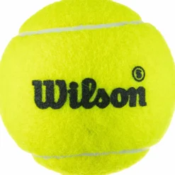 Best Damen Tennis|Tennis