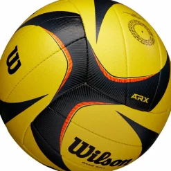 Online · AVP ARX GAME BALL OFF Herren Volleyball|Bälle