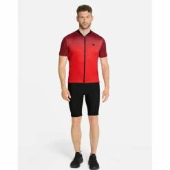 New · NETAX Herren Hosen|Radsport