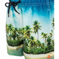 Hot · Dino Kinder Schwimmen